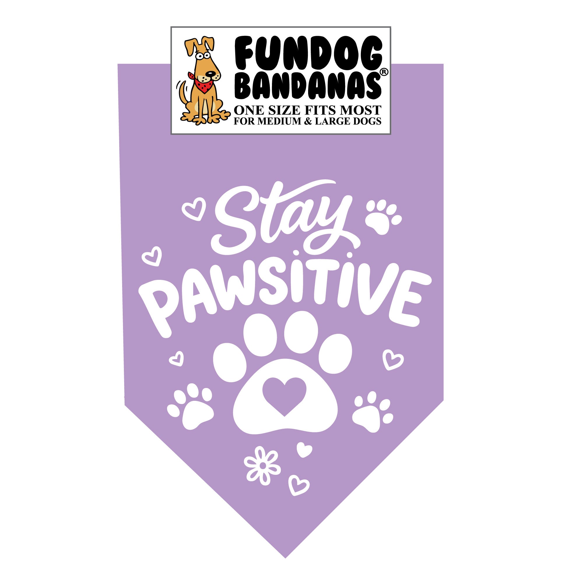 Wholesale Pack - Stay Pawsitive - Assorted Colors - Image 10