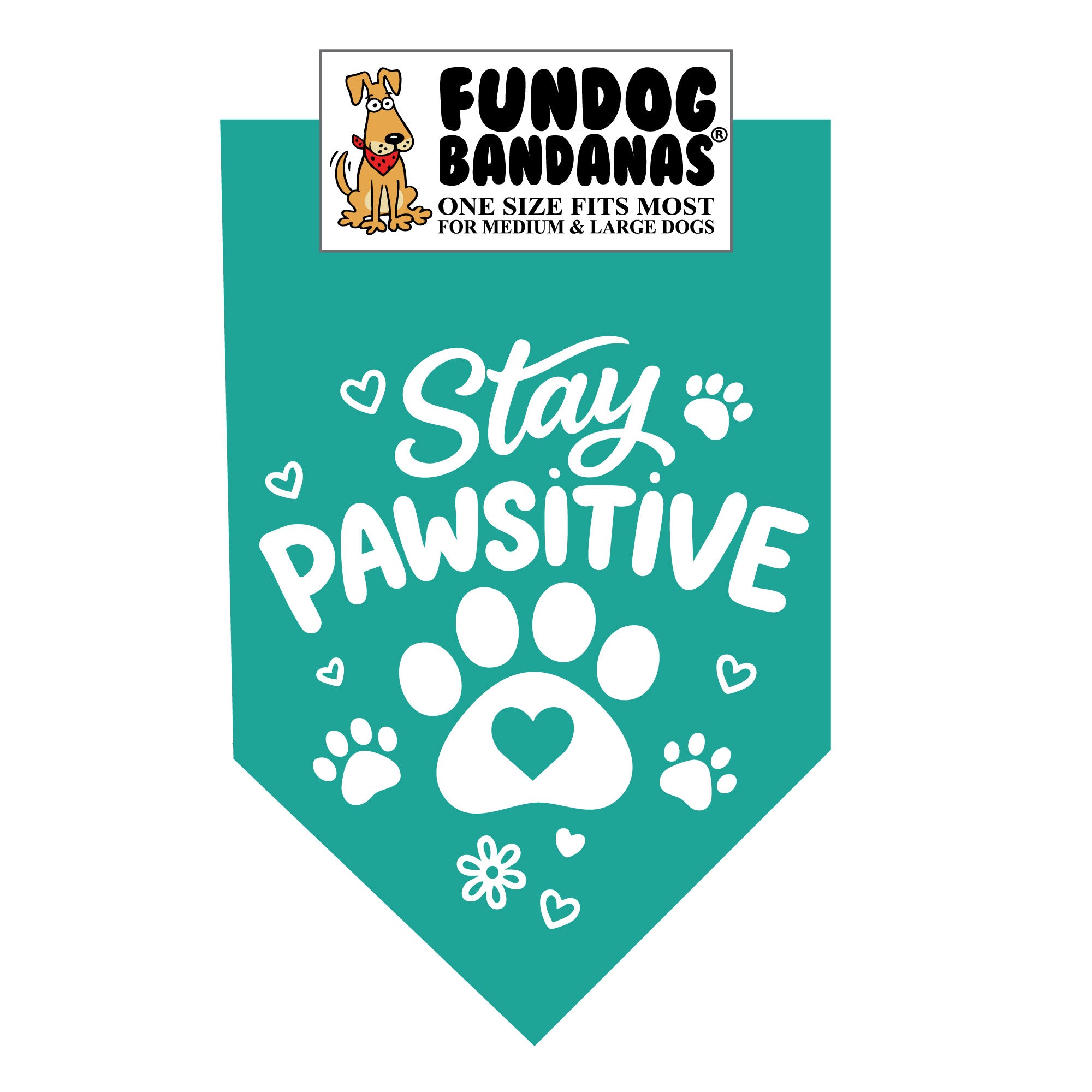 Wholesale Pack - Stay Pawsitive - Assorted Colors - Image 8
