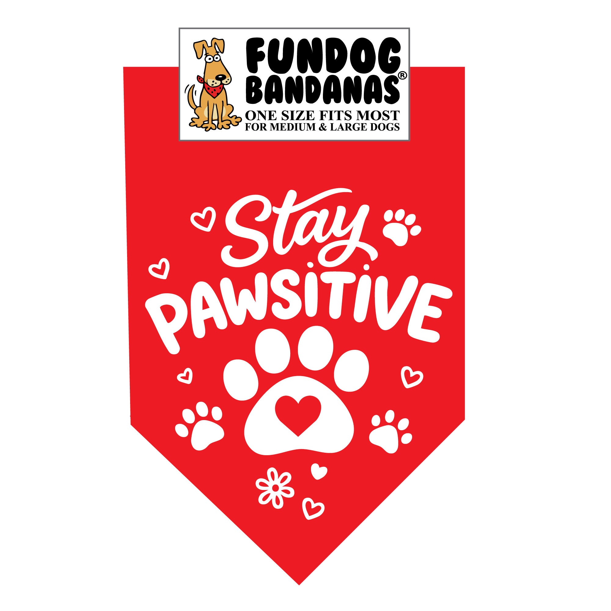 Wholesale Pack - Stay Pawsitive - Assorted Colors - Image 2