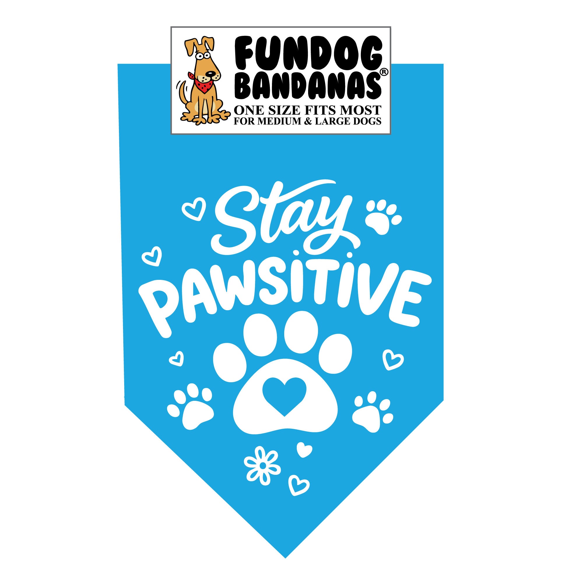 Wholesale Pack - Stay Pawsitive - Assorted Colors - Image 4
