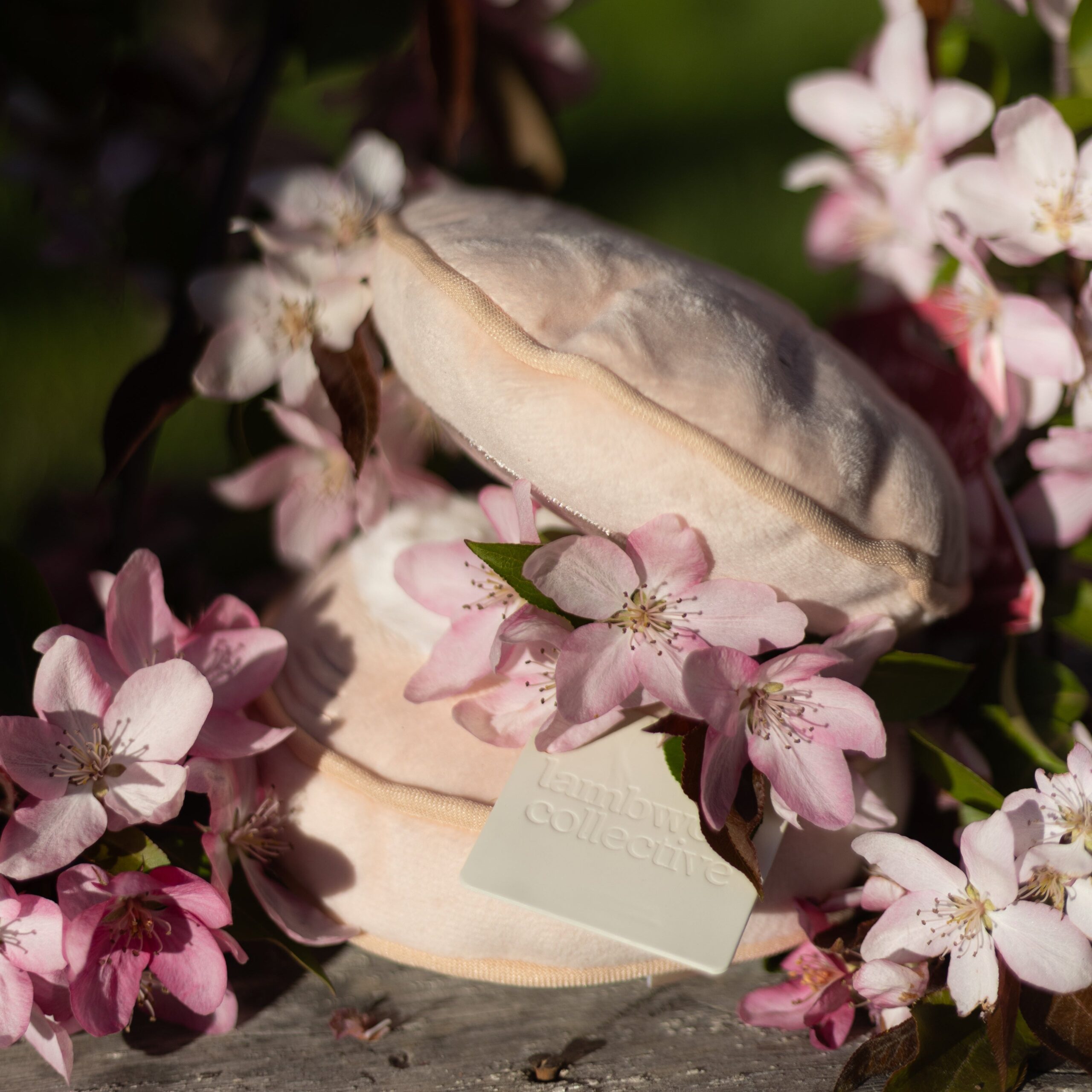 BLUSH - Image 12