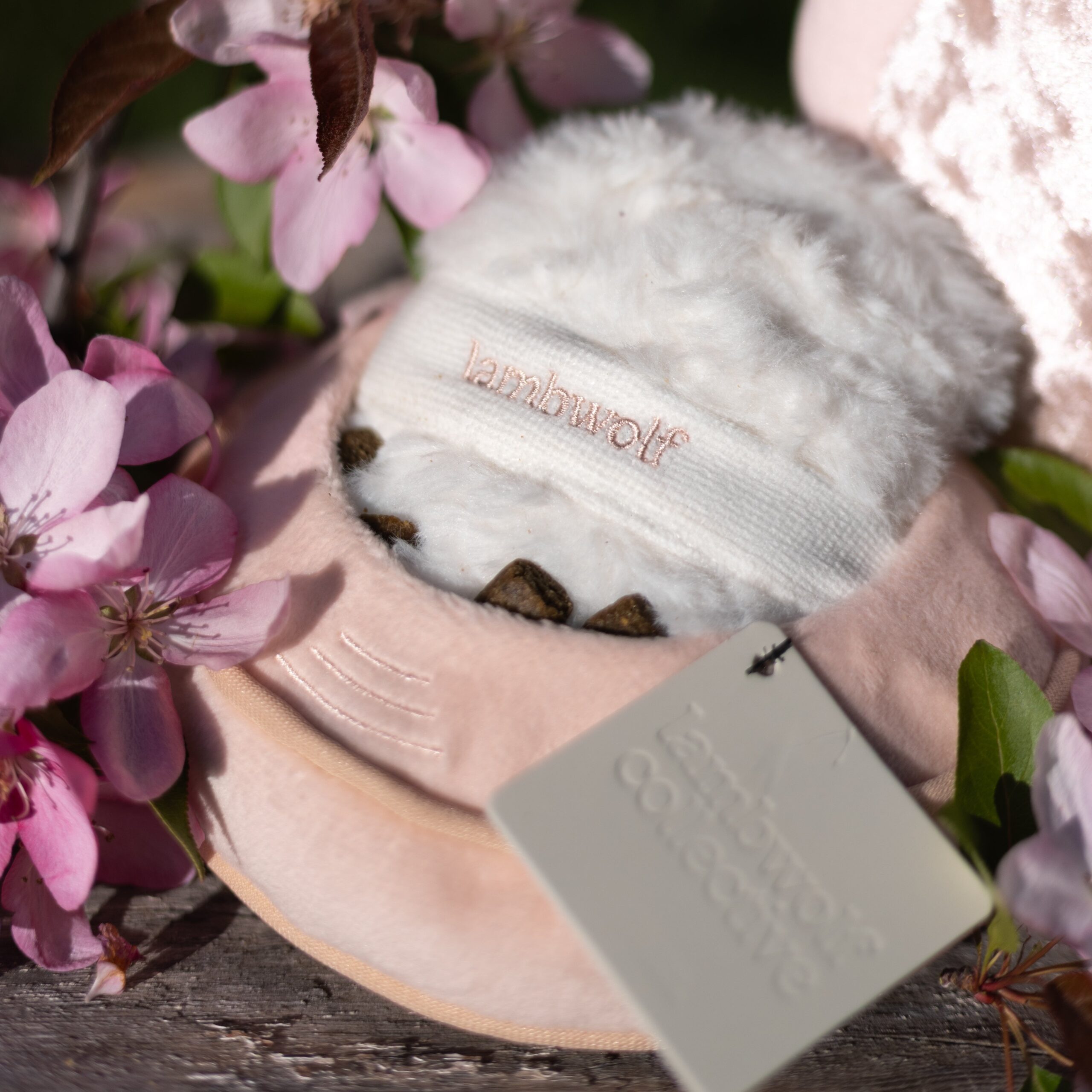 BLUSH - Image 14