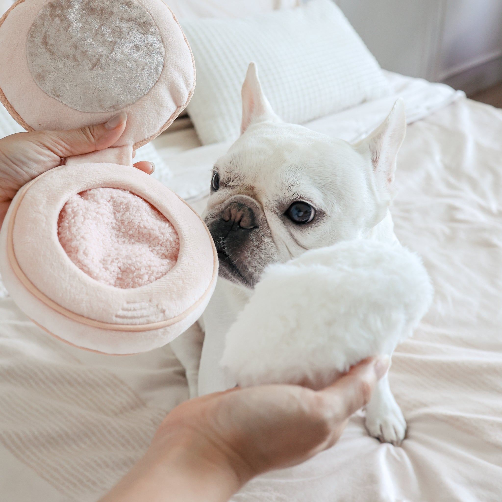 BLUSH - Image 5