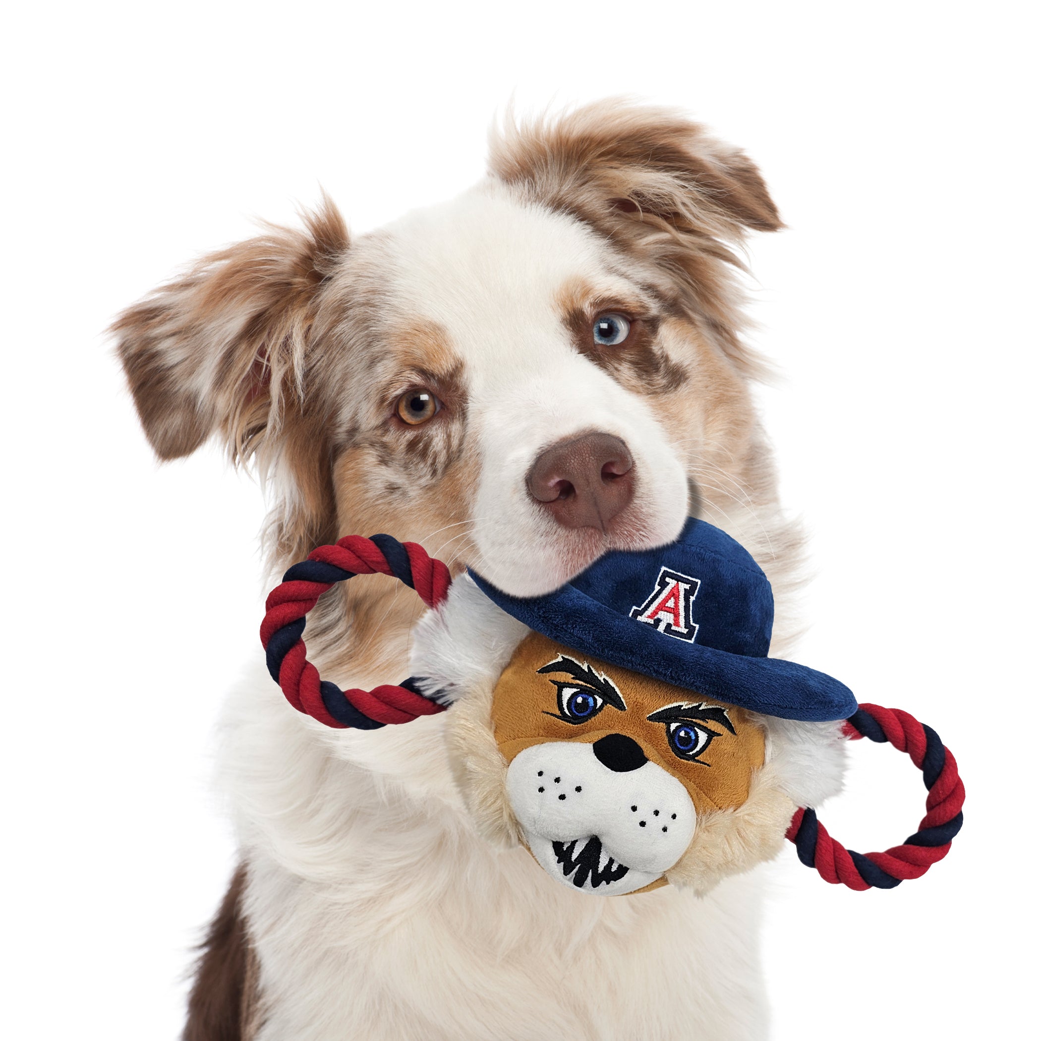 Arizona Mascot Rope Toy - Image 3