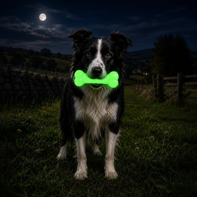 SodaPup PUP-X Rubber Glow Dark Chew Bone Dog Toy Durable, Floats, Large Dogs | USA