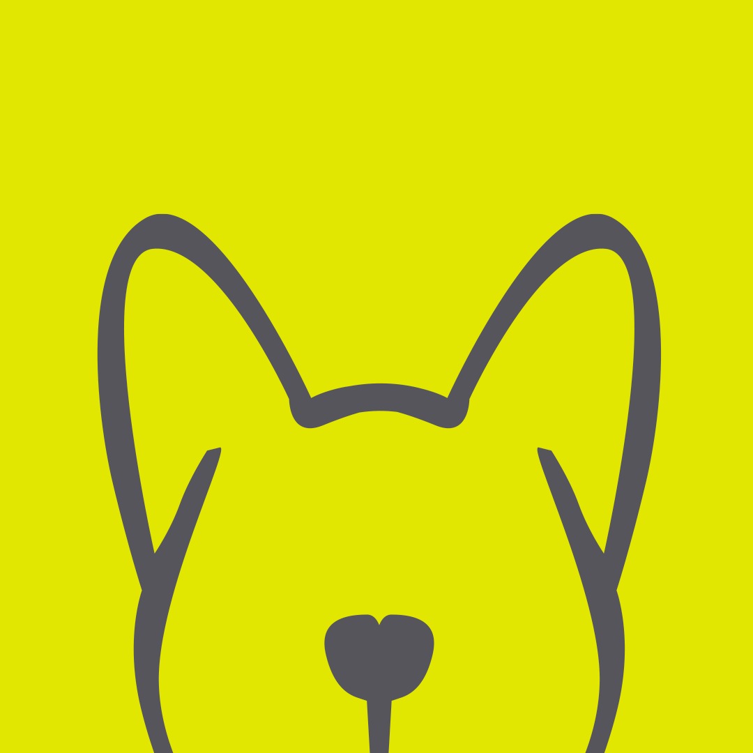 NANDOG PET GEAR