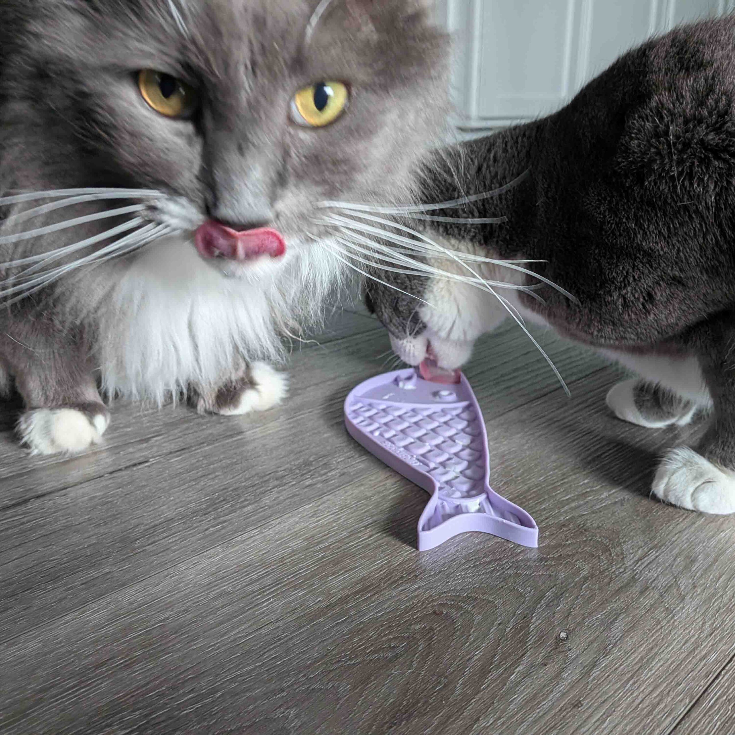 SodaPup Goldfish emat Small Enrichment Lick Mat Cats |