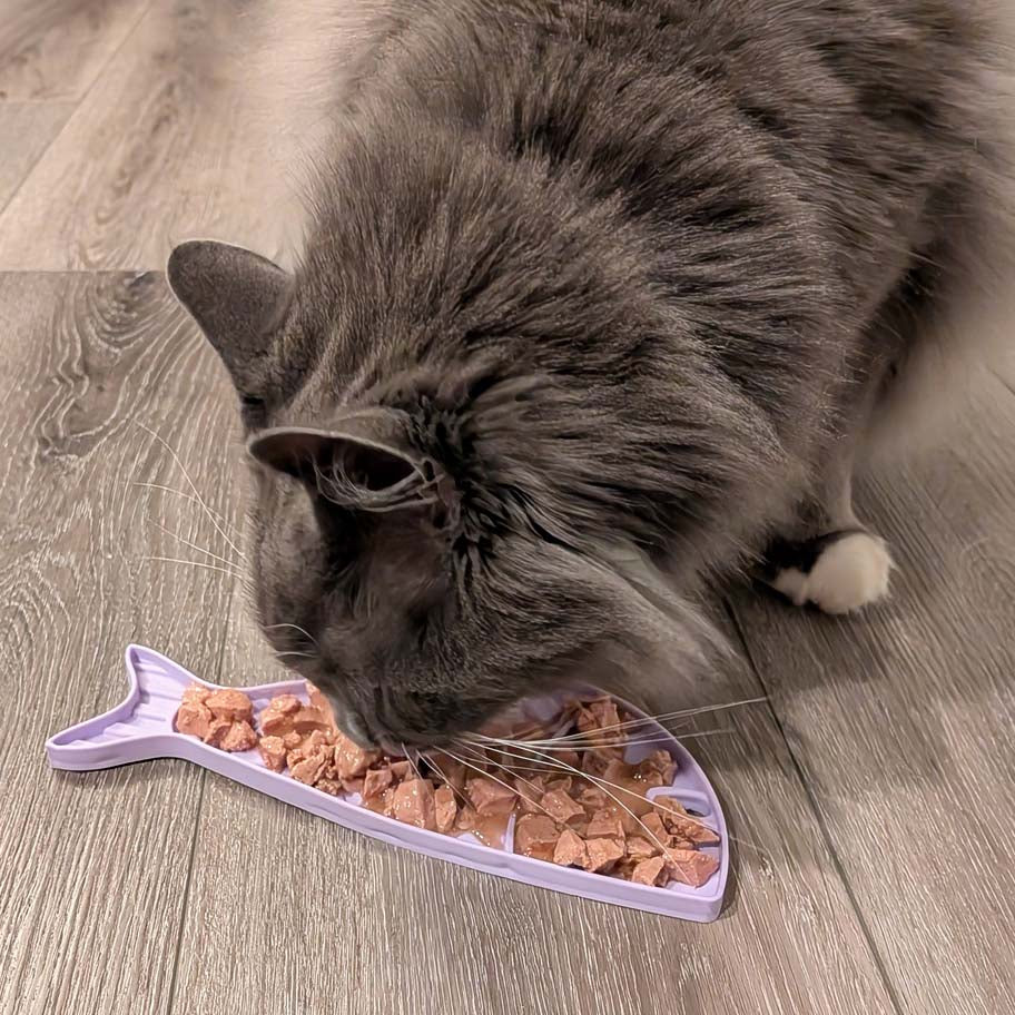SodaPup Goldfish emat Small Enrichment Lick Mat Cats |