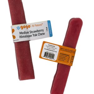 Gogo Medium Strawberry Himalayan Yak Chew