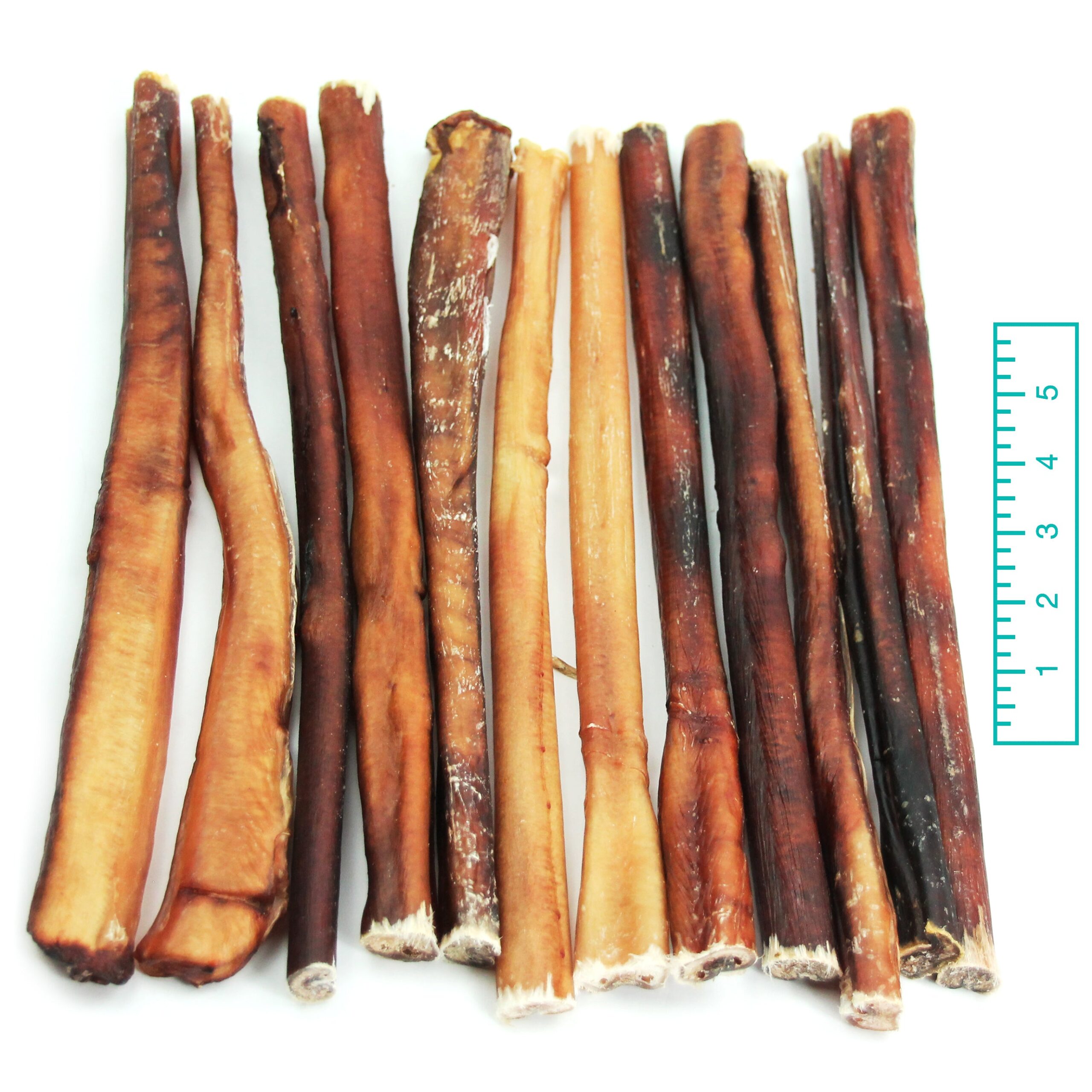 12" Thick Bully Stick Odor Free - 16 oz - Image 4