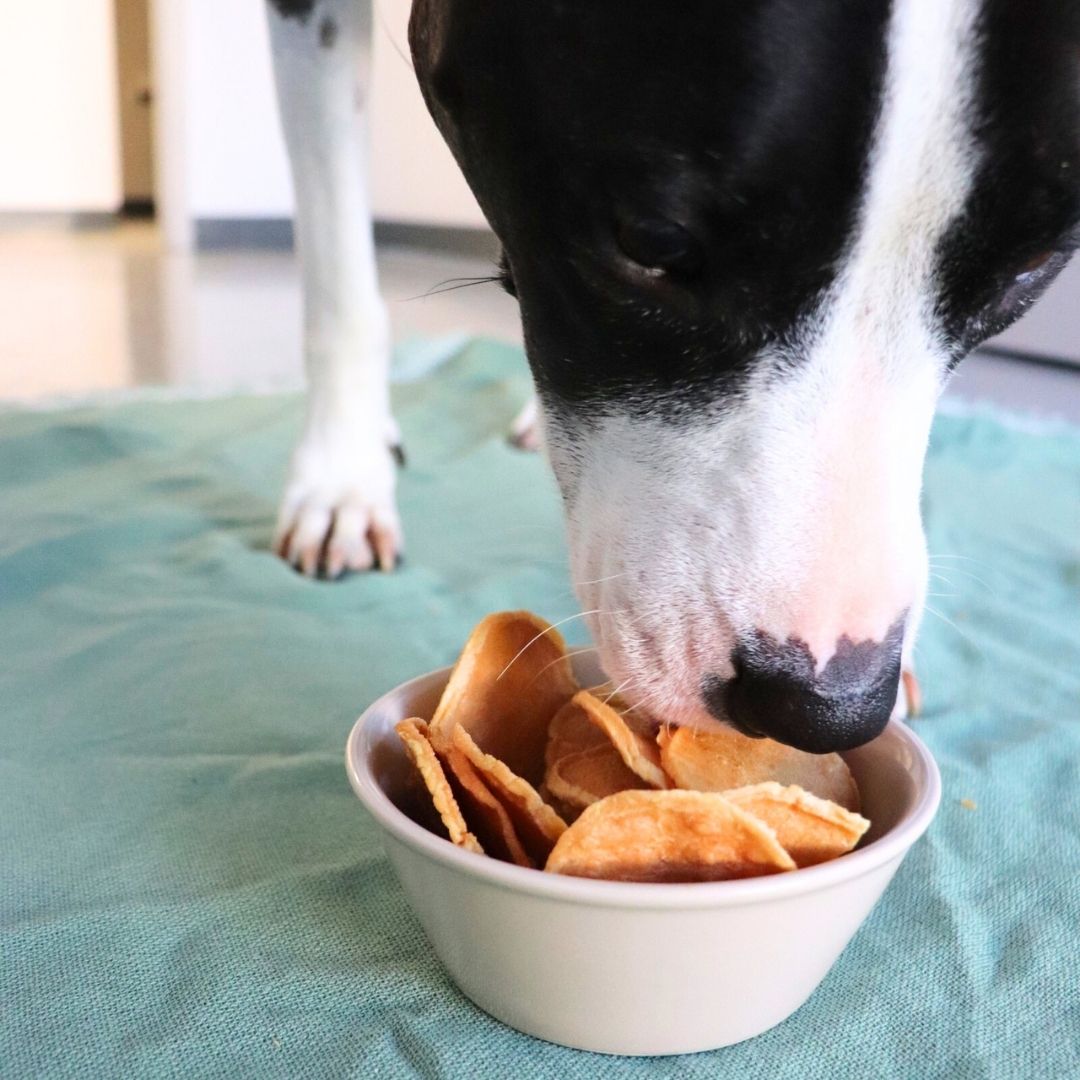 Turkey Tendon Chips - Image 4