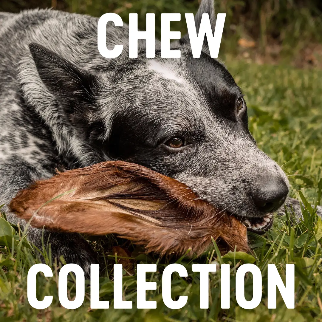 Bulk Chews