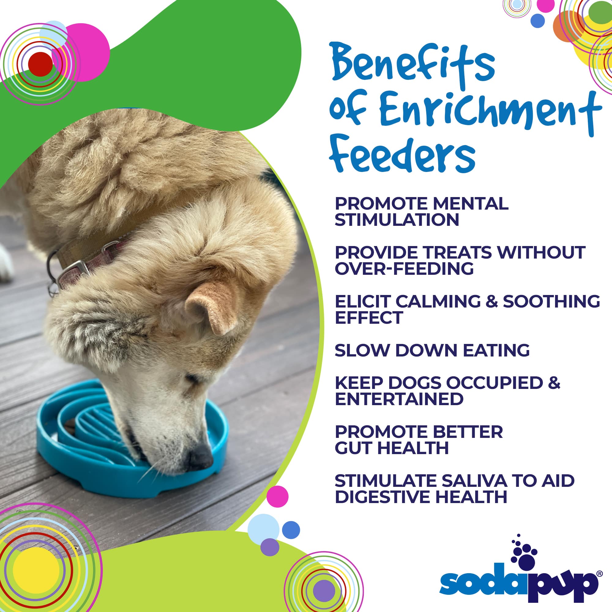 SodaPup Baja Design eTray Shallow Slow Feeder Dog Bowl Enrichment | USA Made