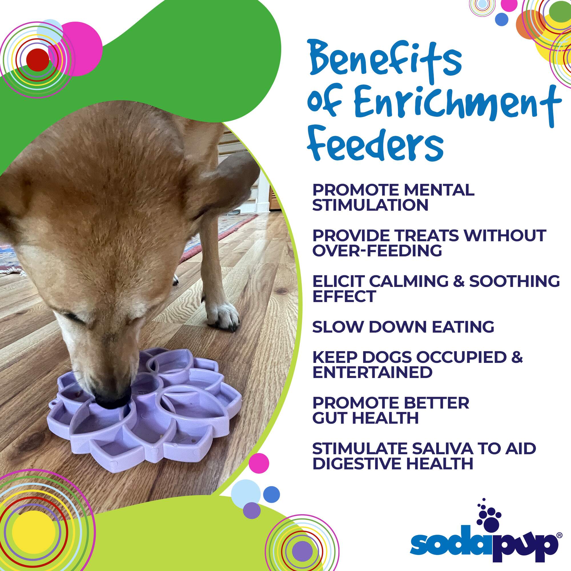 SodaPup Mandala Softie eTray Shallow Slow Feeder Dog Bowl Suction Cups | USA Made