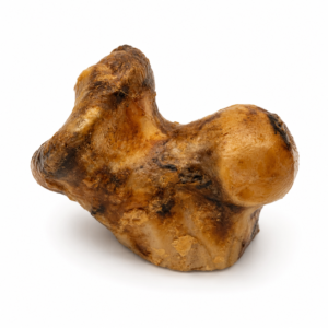 Beef saddle bone for aggressive chewers