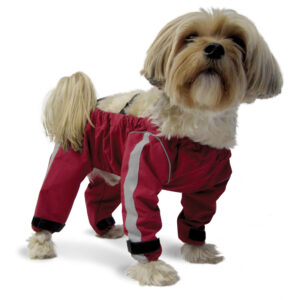 Bodyguard - All-Weather Protective Pants for Dogs