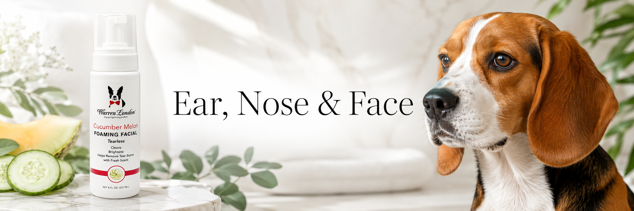 Ear, Nose and Face