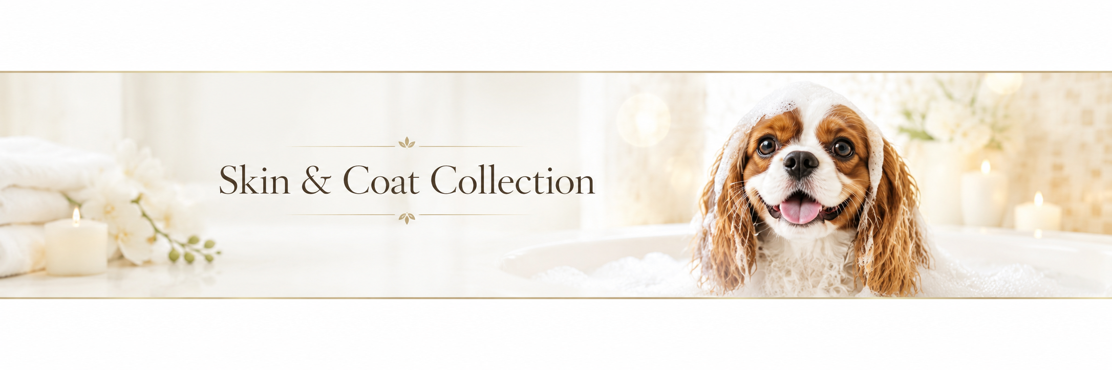 Skin and Coat Collection