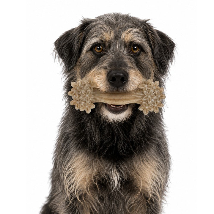 SodaPup Daisy Bone Nylon Dog Toy Aggressive Chewers | Durable USA Made