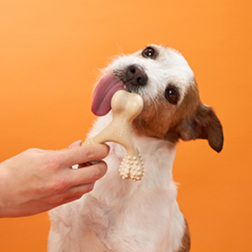 BetterBone Chew Toy - Venison - Image 3