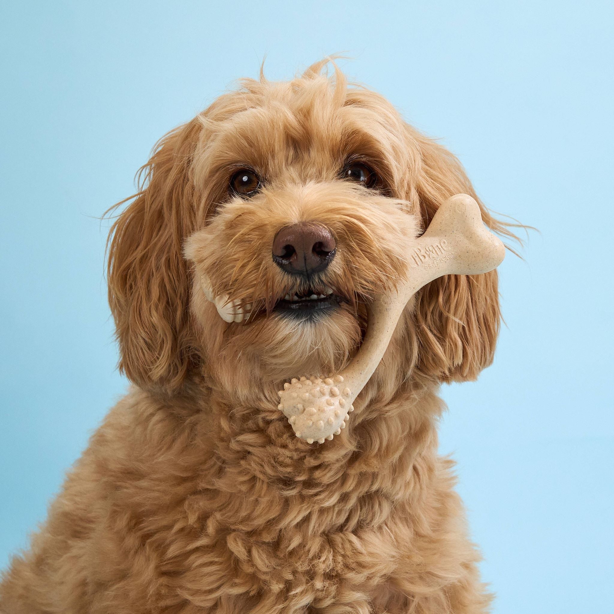 BetterBone LIGHT Chew Toy - Image 10