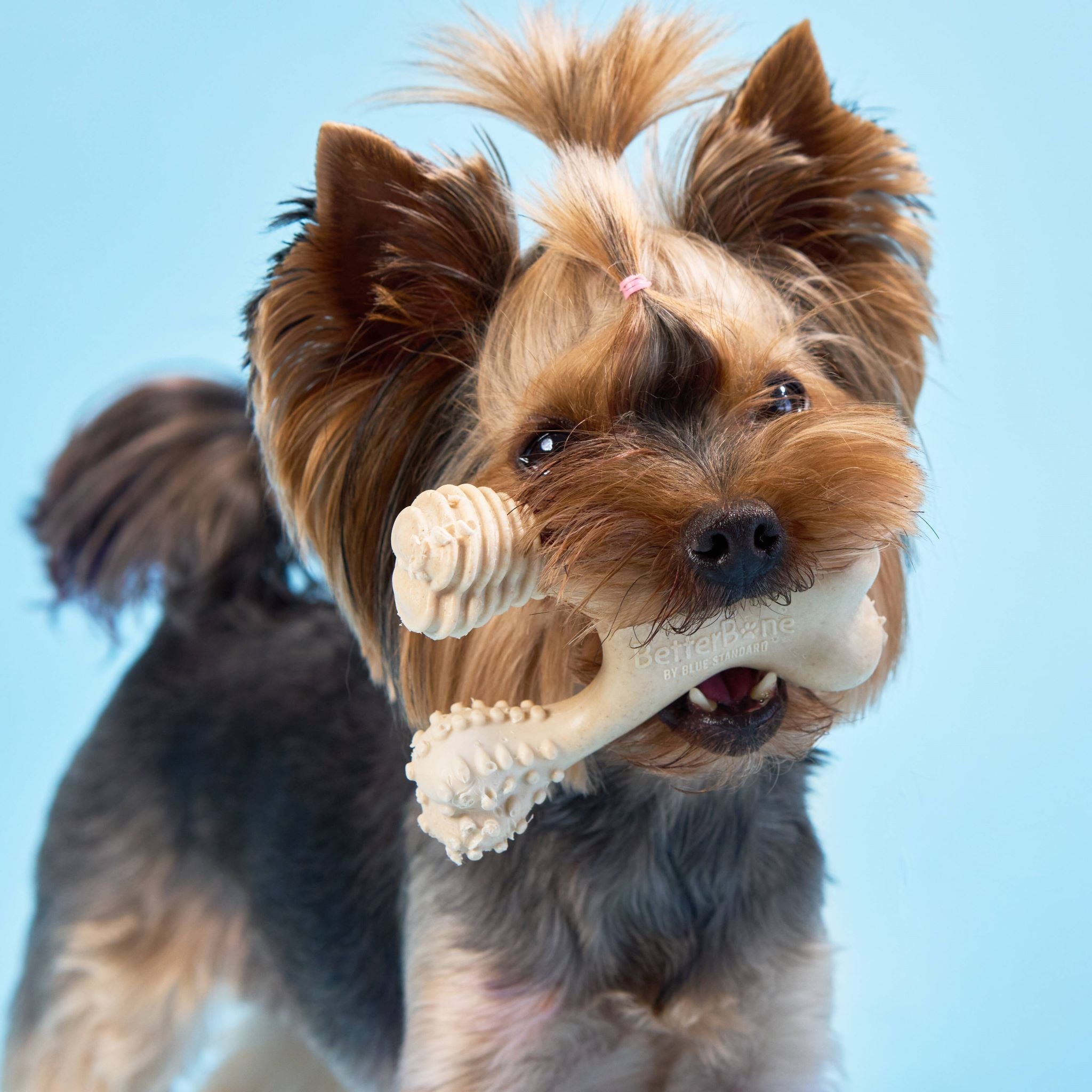 BetterBone LIGHT Chew Toy - Image 2