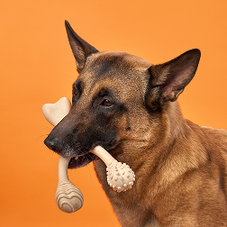 BetterBone Chew Toy - Venison - Image 2
