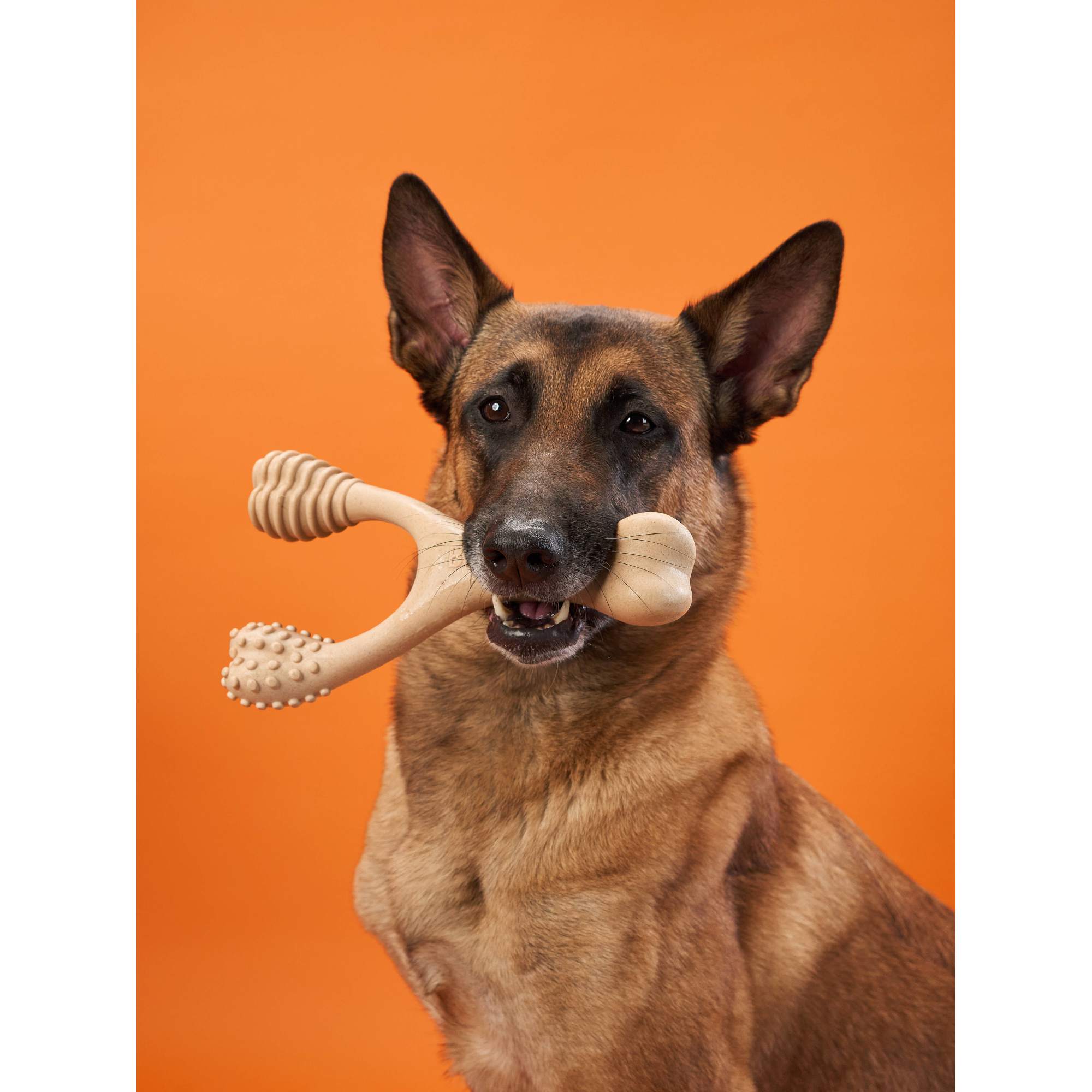 BetterBone HARD Chew Toy - Image 4