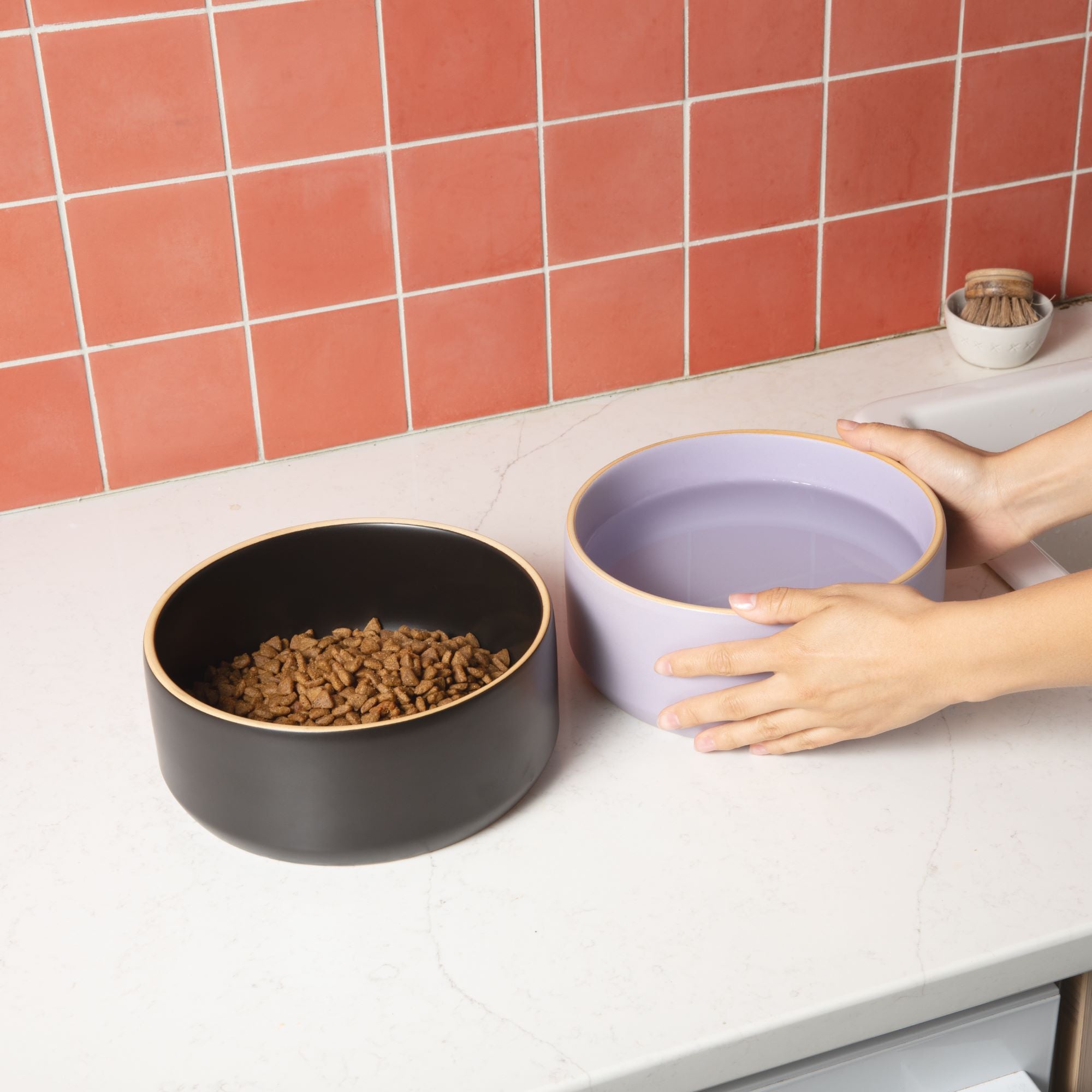 Edge Ceramic Dog Bowl - Waggo