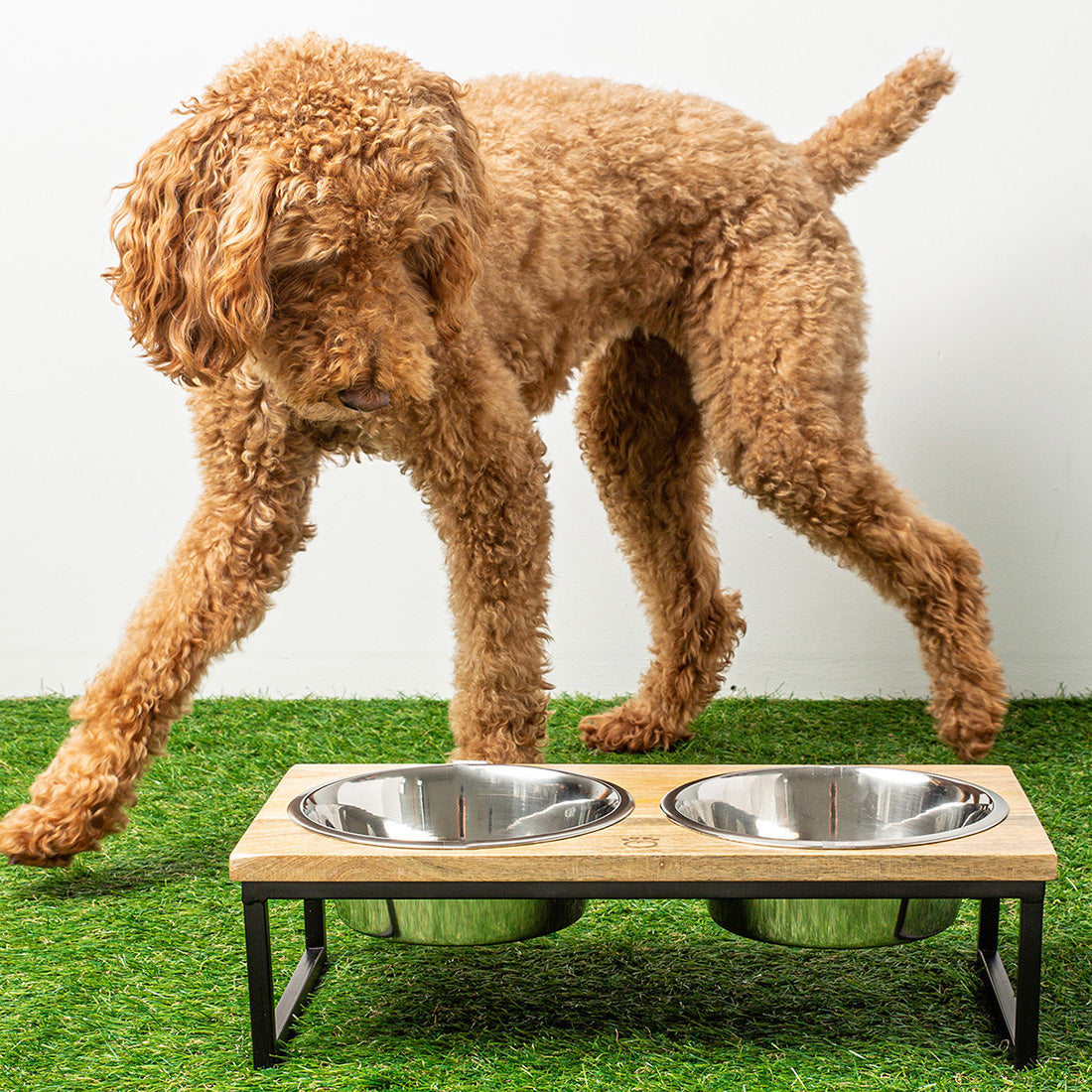 Wood & Metal Elevated Feeder - Image 12