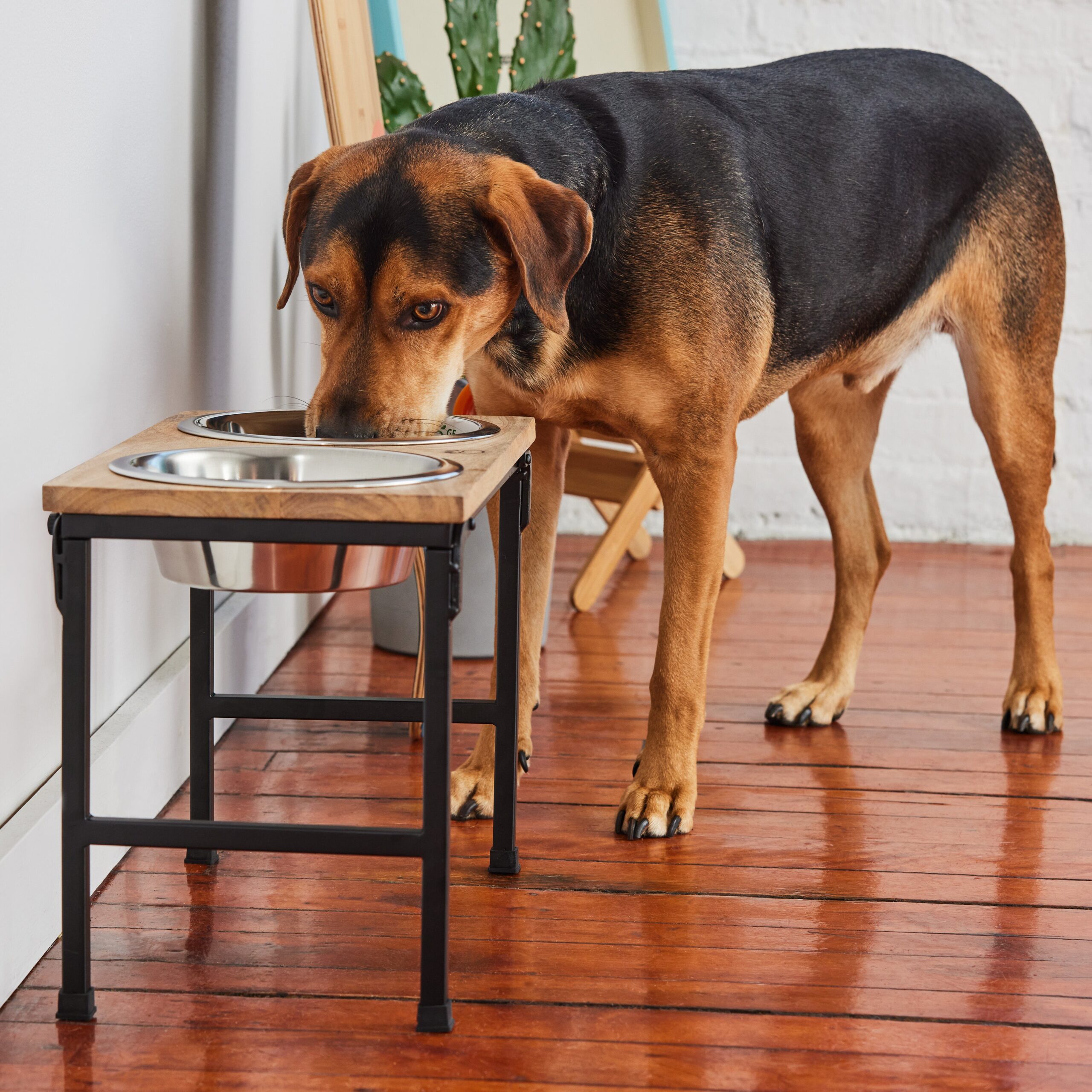 Wood & Metal Elevated Feeder - Image 10