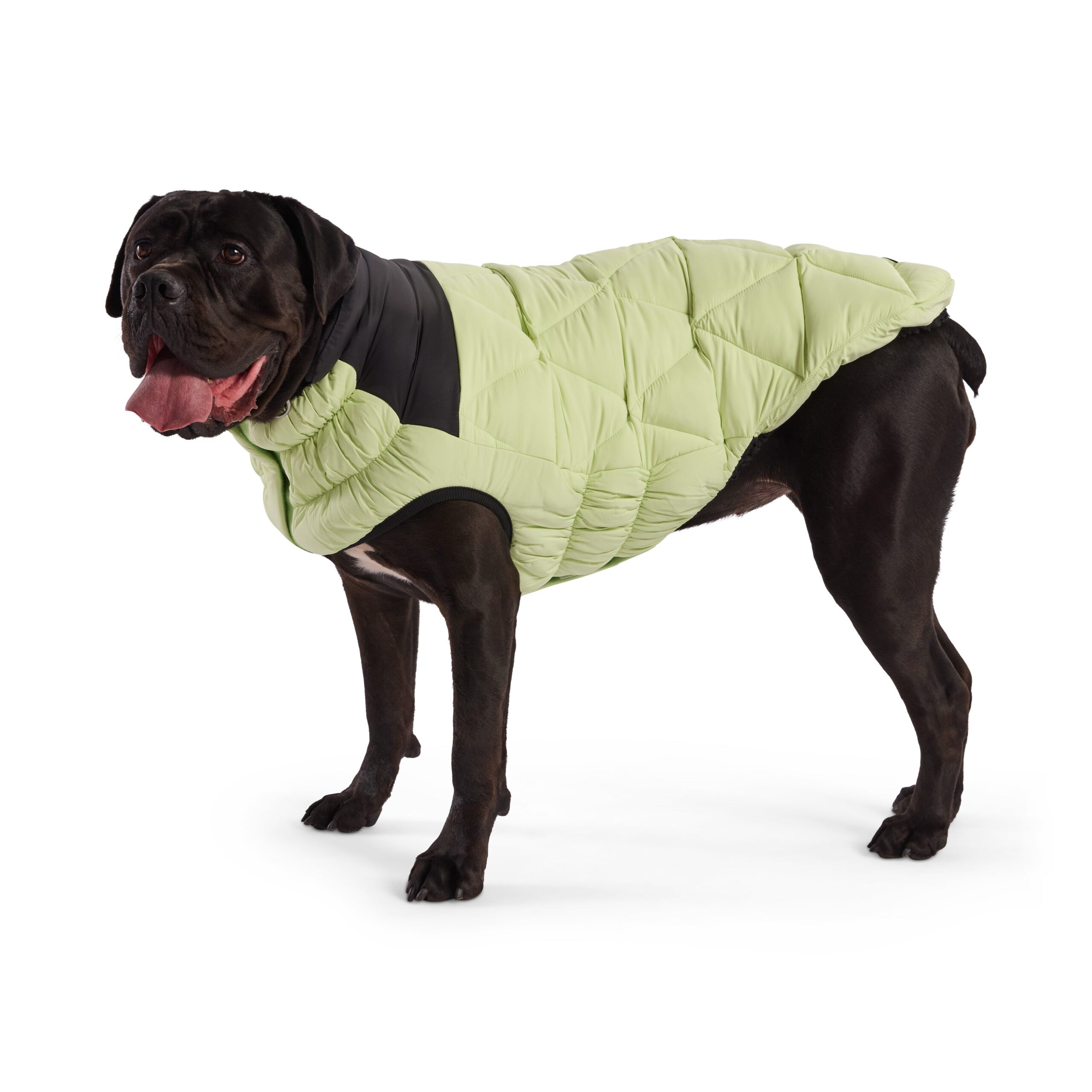Diamond Puffer - Image 16