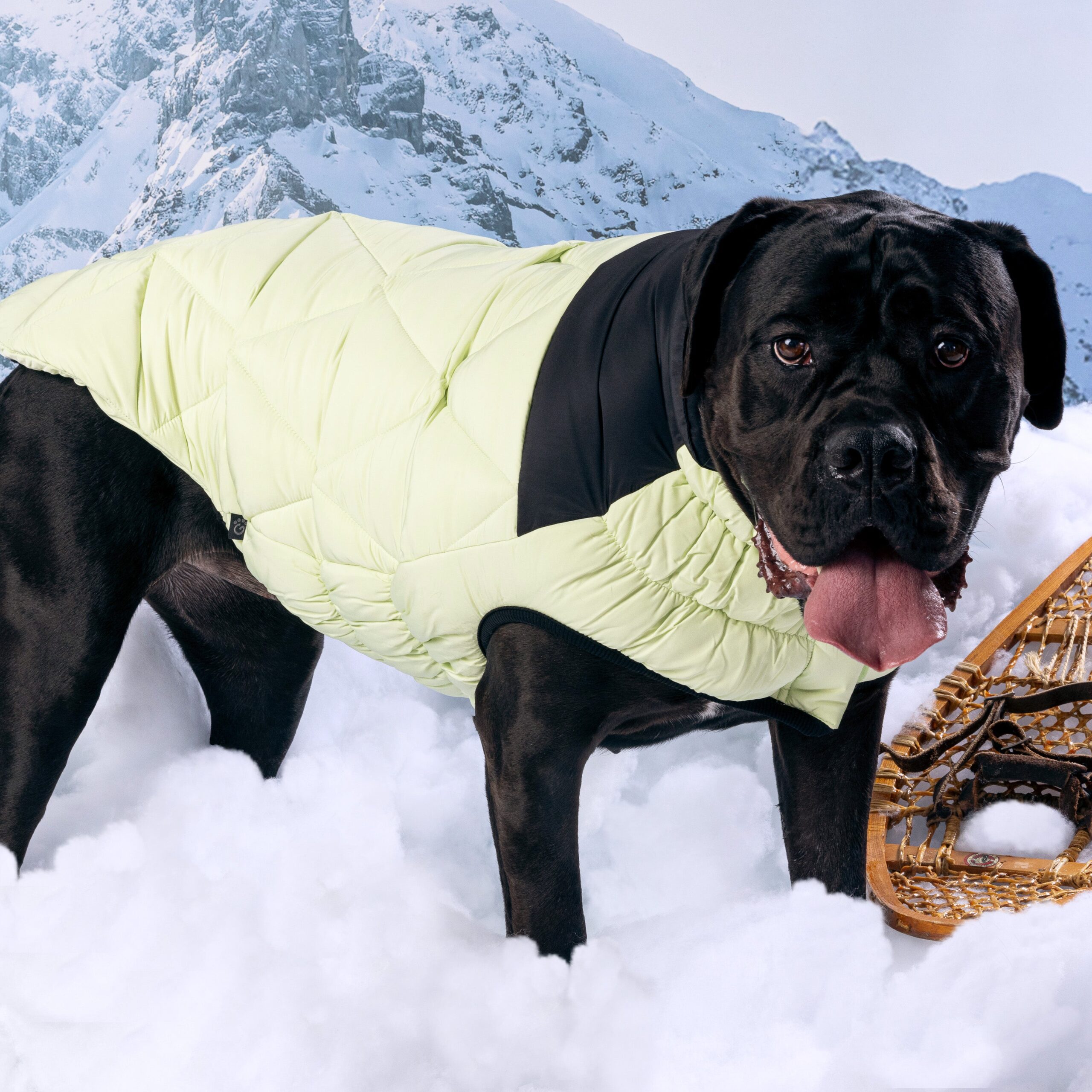 Diamond Puffer - Image 12