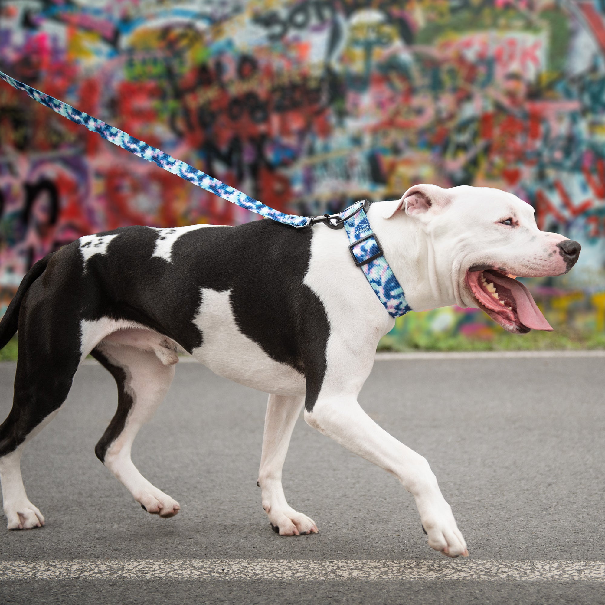 Printed Leash - Tie Dye - Image 4