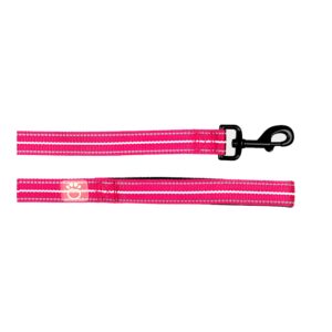 Reflective Leash - Neon Pink