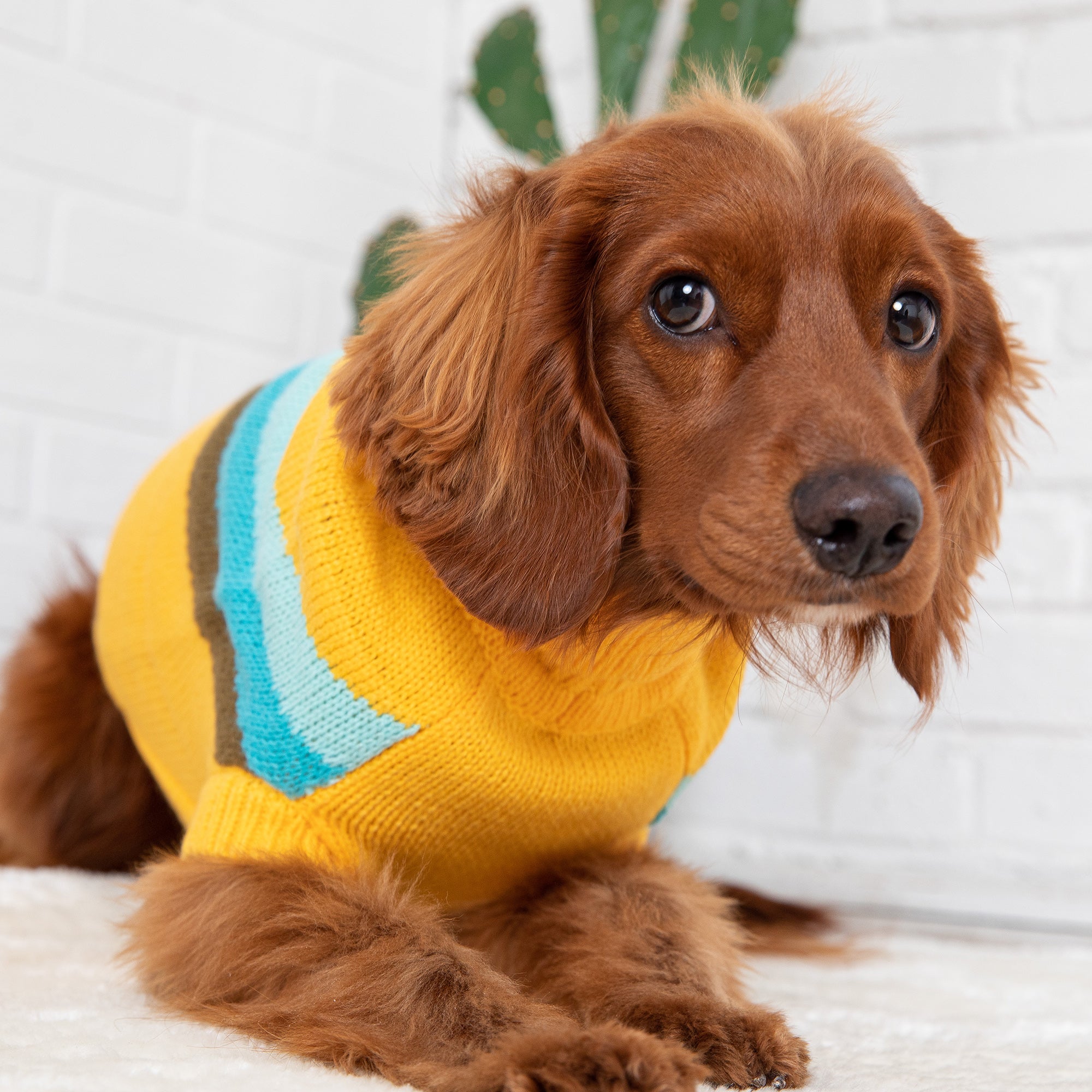 Alpine Sweater - Yellow - Image 5