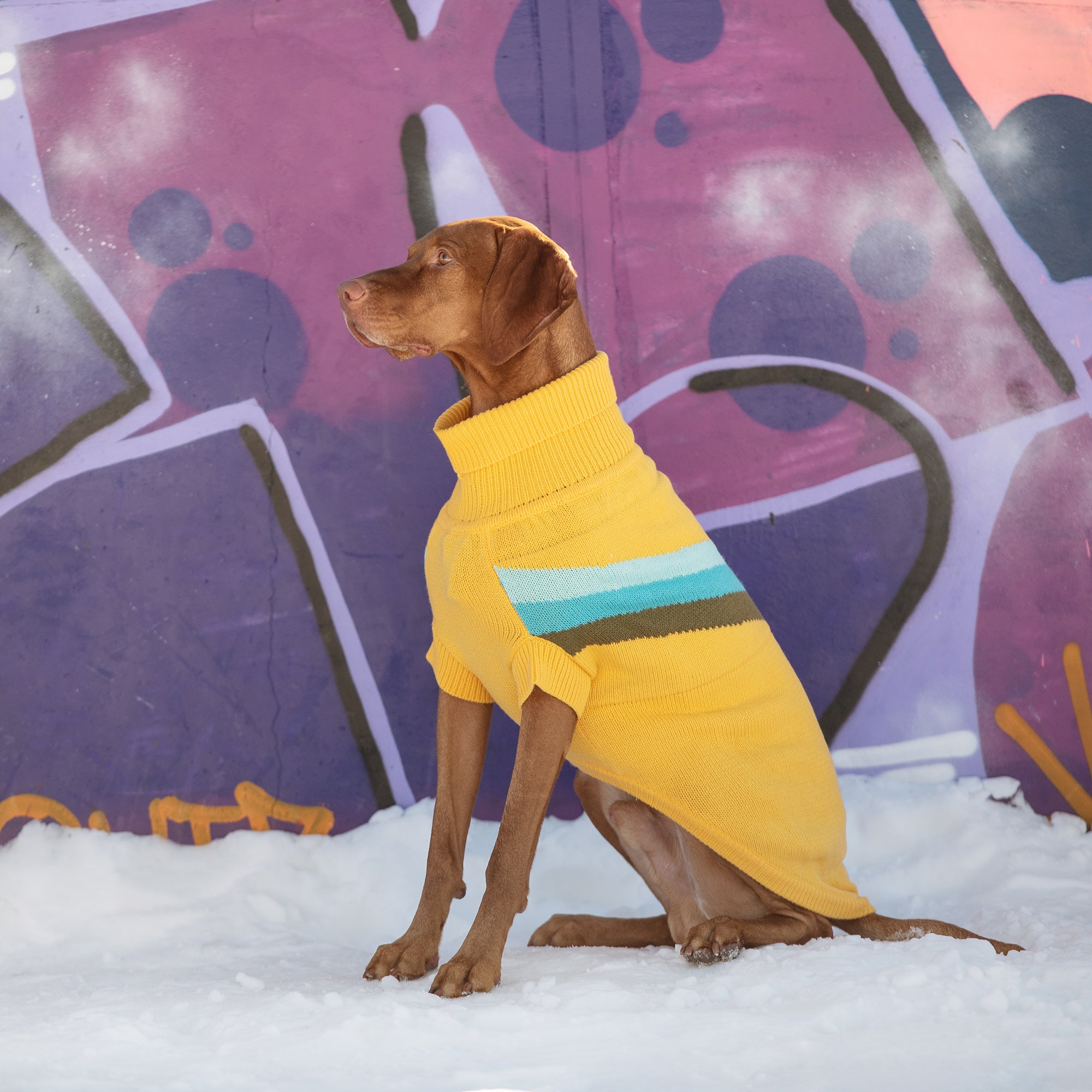 Alpine Sweater - Yellow - Image 6