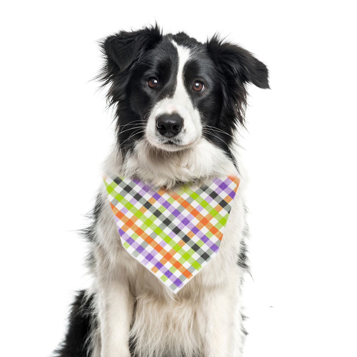 Halloween Bandana | Plaid | Gingham Dog Bandana | Pet - Image 2
