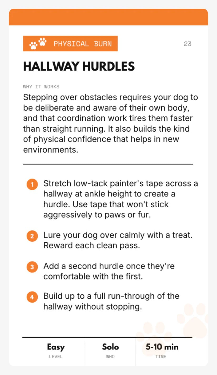 YOUR DOG IS BORED - 32 ENRICHMENT ACTIVITY CARD DECK - SodaPup/True Dogs, LLC