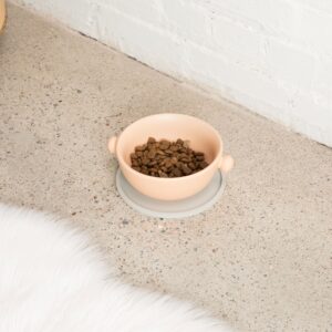 Habit Circle Dog Placemat - Set of 2 - Waggo 