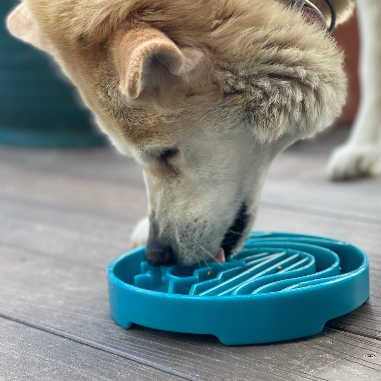 SodaPup Baja Design eTray Shallow Slow Feeder Dog Bowl Enrichment | USA Made