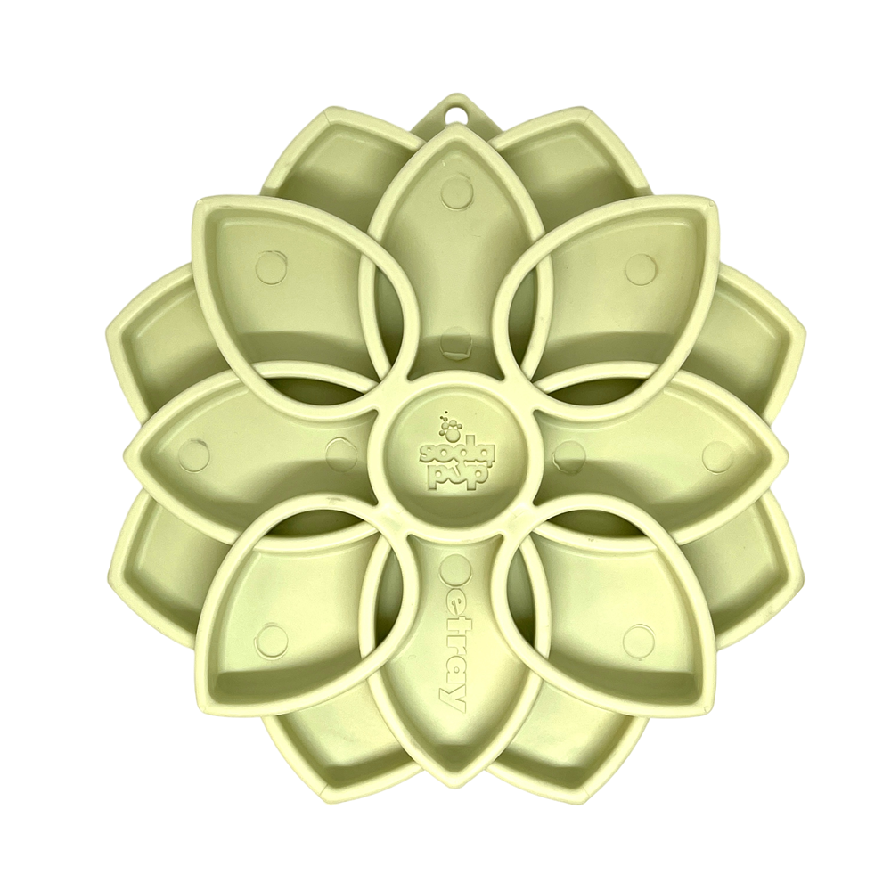 SodaPup Mandala Softie eTray Shallow Slow Feeder Dog Bowl Suction Cups | USA Made Pastel Green