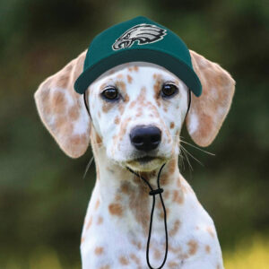 Philadelphia Eagles Pet Caps