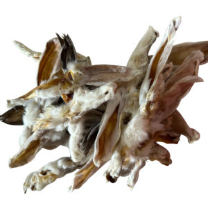 Rabbit Ears - Bulk 50pcs