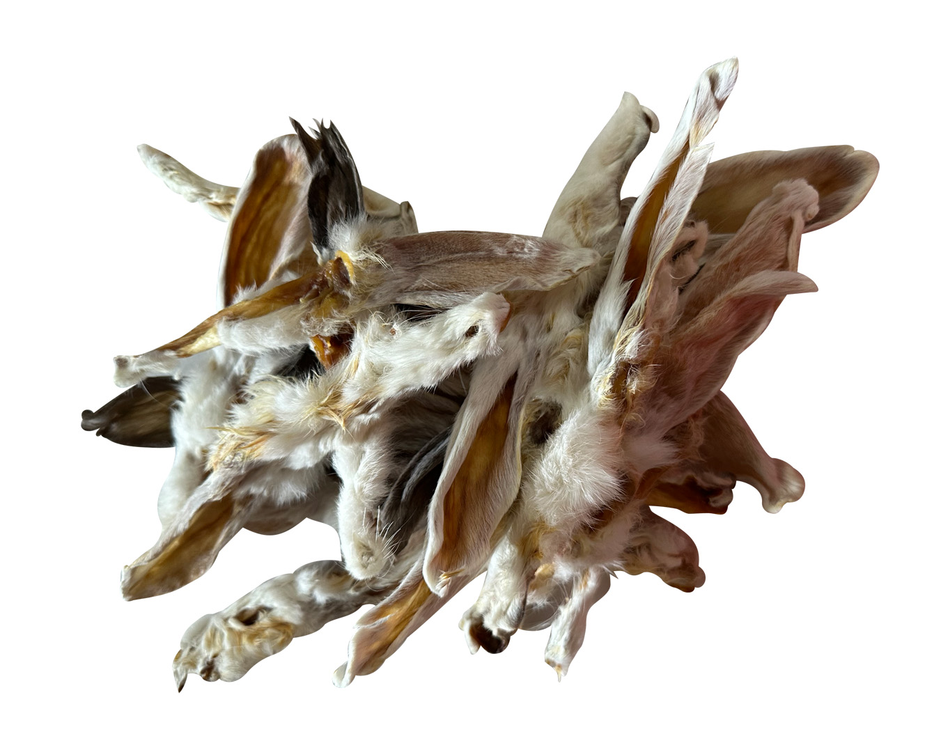 Rabbit Ears - 10pk Retail Pouch - Image 4