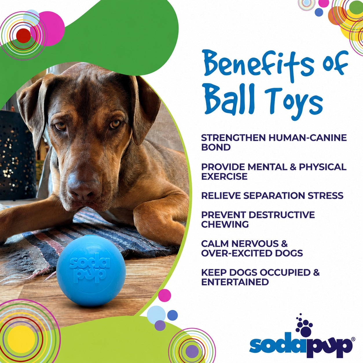 SodaPup Squeak Ball Durable Squeaky Dog Toy, Floats, Chew Toy | USA Made