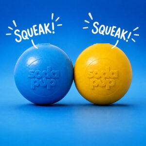 SodaPup Squeak Ball Durable Squeaky Dog Toy, Floats, Chew Toy | USA Made