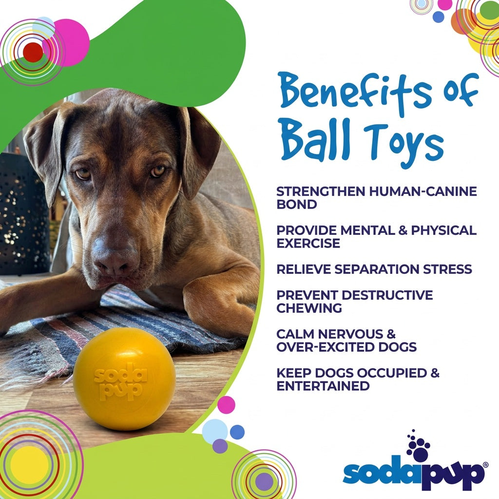 SodaPup Squeak Ball Durable Squeaky Dog Toy, Floats, Chew Toy | USA Made