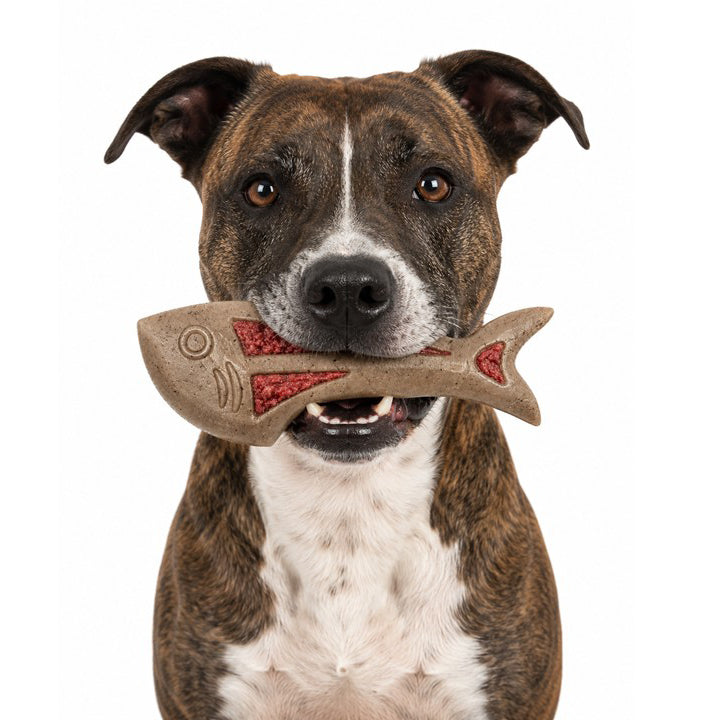 SodaPup Dog Fish Nylon Chew & Enrichment Toy | Ultra-Durable Aggressive Chewers