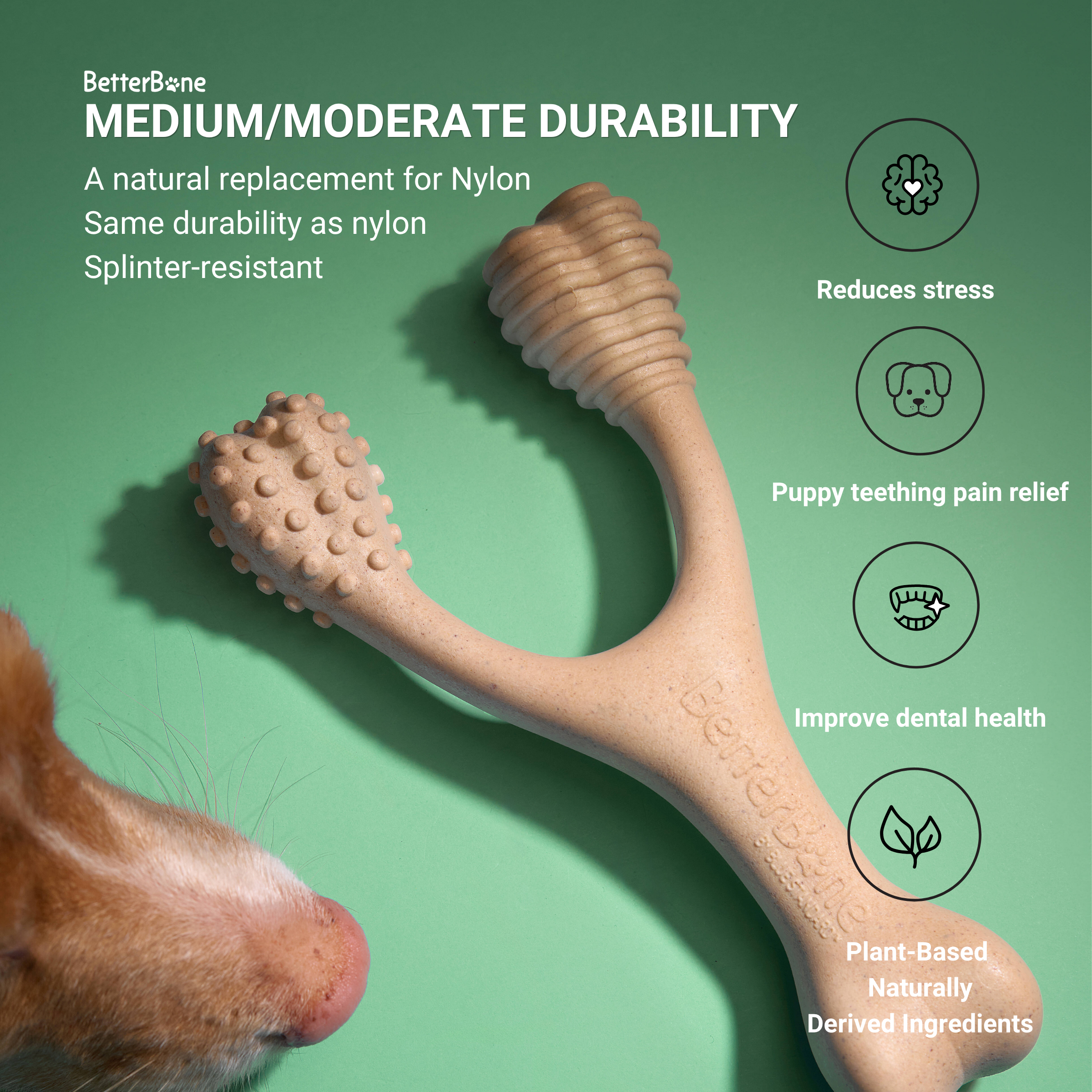 BetterBone Chew Toy - Venison - Image 9
